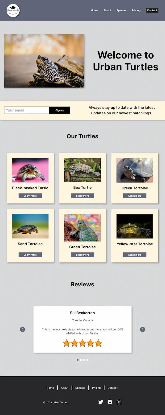 Urban Turtles Screenshot